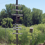 ChaskaHerald's photo