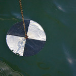 ChaskaHerald's photo